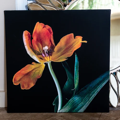 Картина «Marigold» (холст, галерейная натяжка)